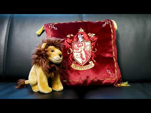 product-video-E1061010-1