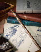 Immagine del prodotto Bacchetta Magica di Hermione Granger