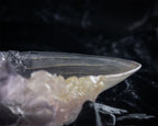 Product image The Crystal Goblet