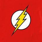 Product image DC - Flash Logo T-Shirt