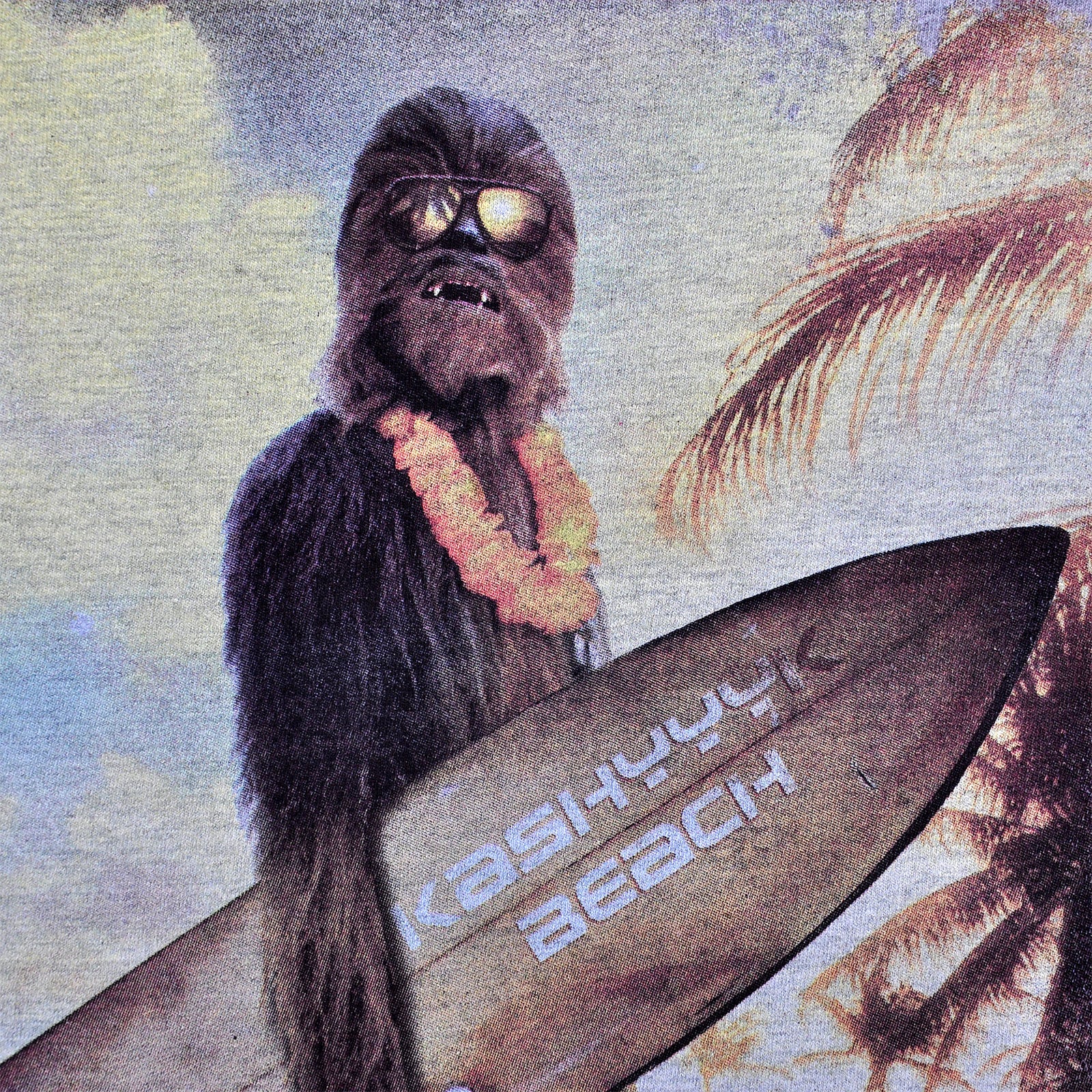 Immagine del prodotto Star Wars - T-shirt Wookiee Surfer grigia