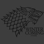 Product image Game of Thrones - Winter is Coming T-Shirt