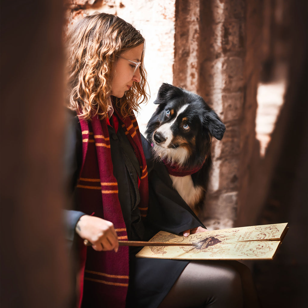 Immagine del prodotto Harry Potter - Sciarpa originale di lana di Grifondoro