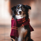 Immagine del prodotto Harry Potter - Sciarpa originale di lana di Grifondoro