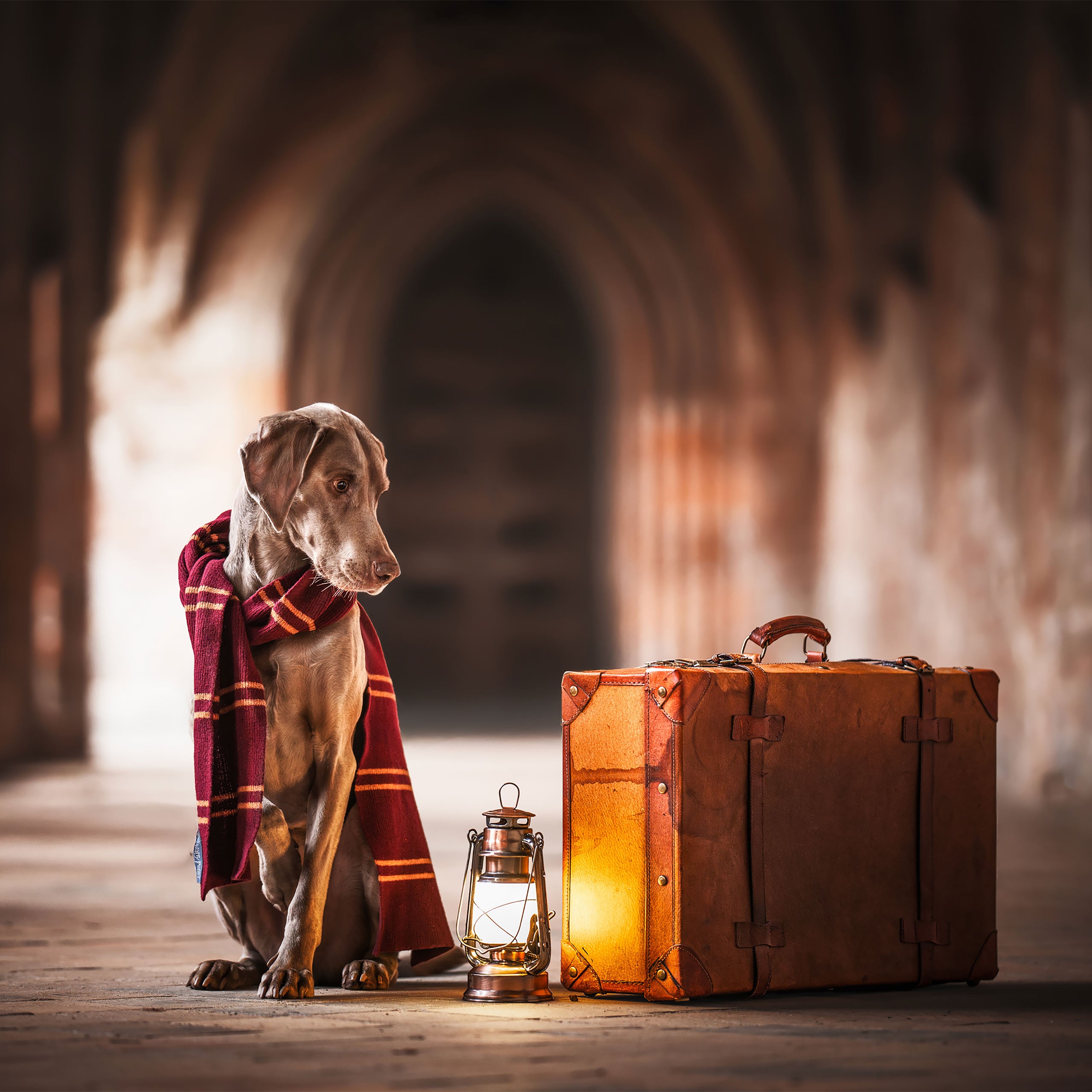 Immagine del prodotto Harry Potter - Sciarpa originale di lana di Grifondoro