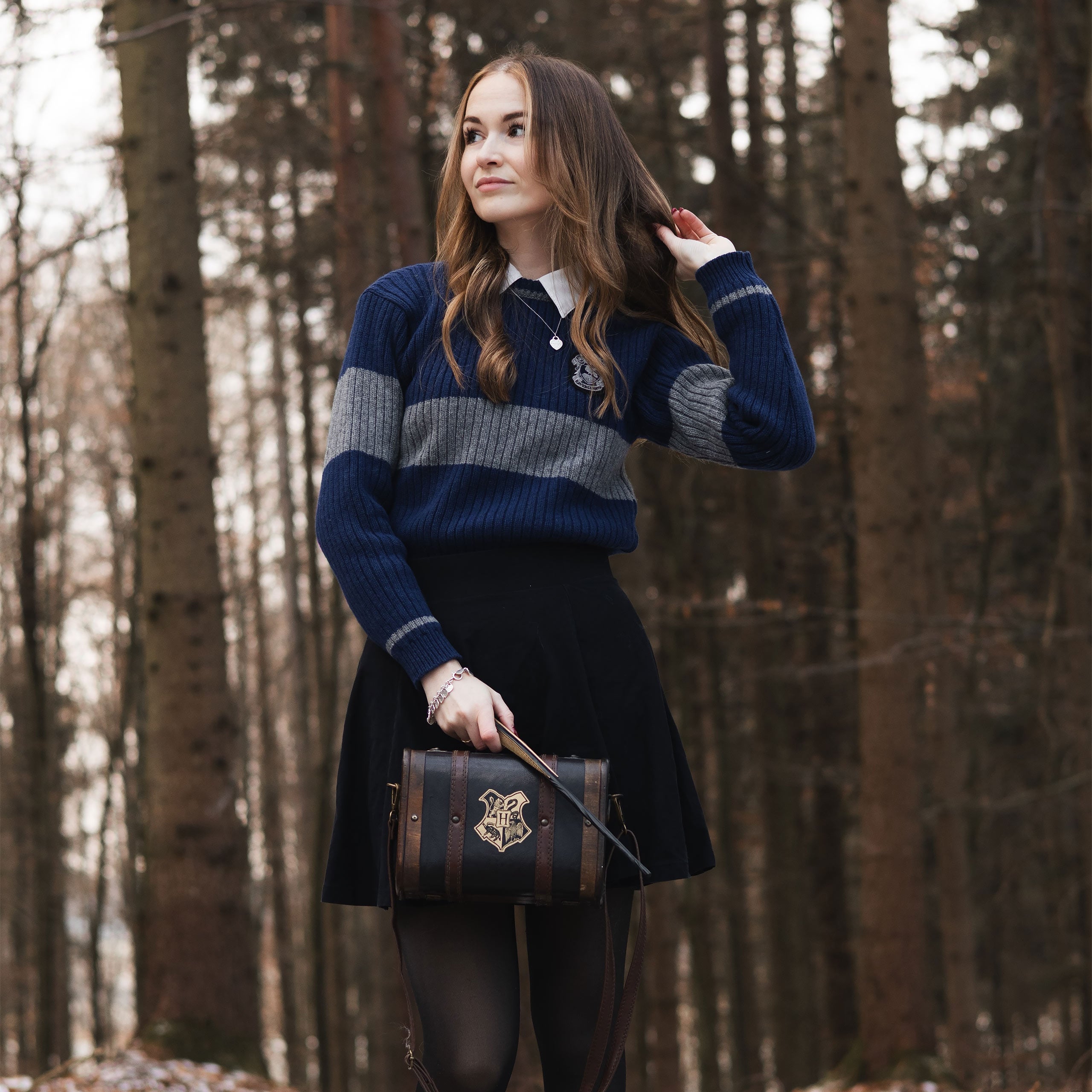 Immagine del prodotto Harry Potter - Maglione Quidditch Ravenclaw
