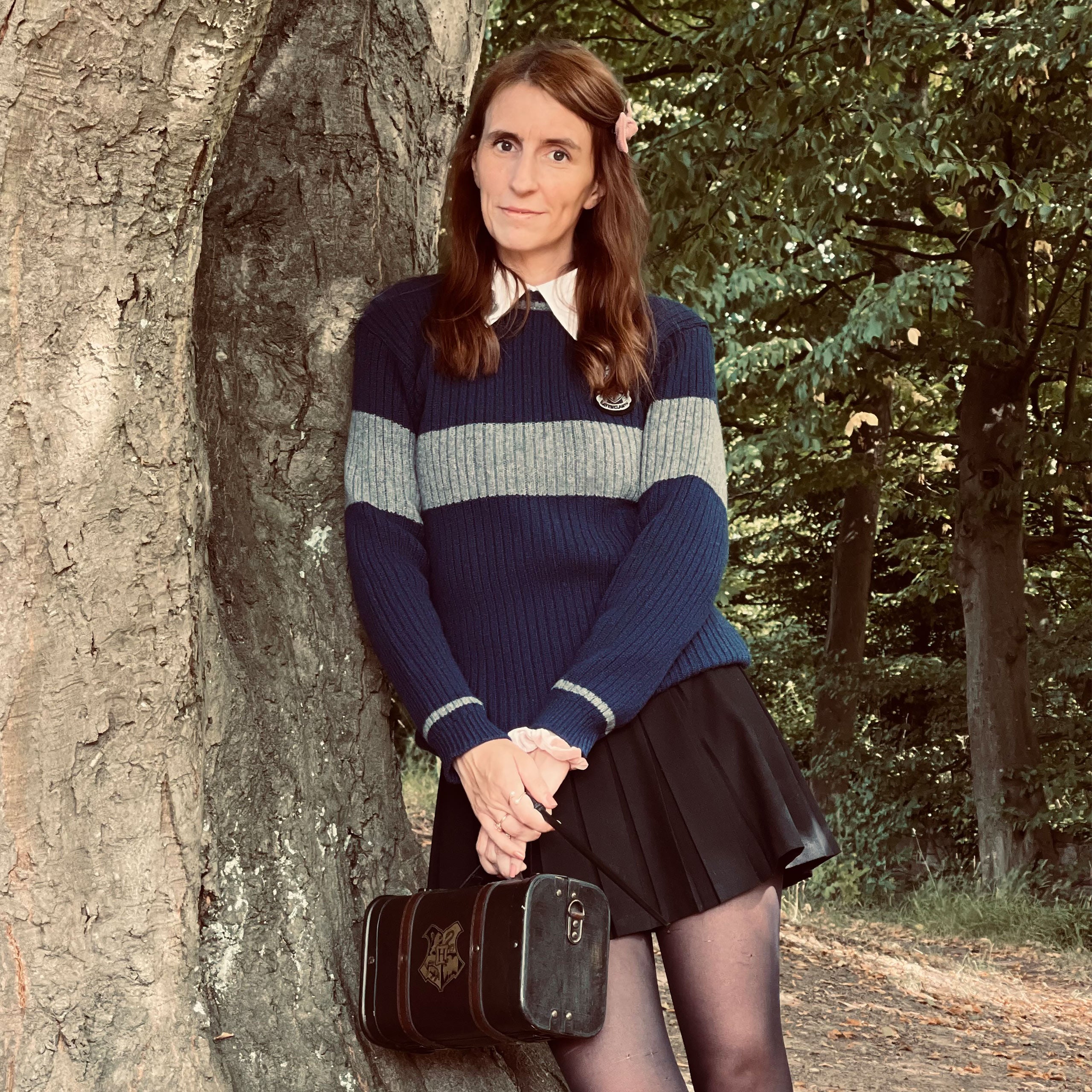 Immagine del prodotto Harry Potter - Maglione Quidditch Ravenclaw