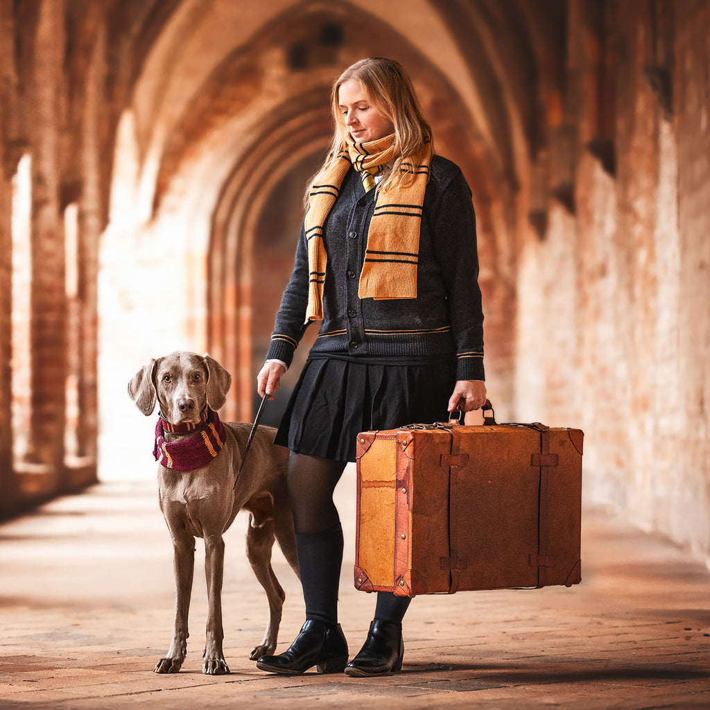 Immagine del prodotto Harry Potter - Sciarpa di lana originale di Hufflepuff