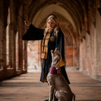 Immagine del prodotto Harry Potter - Sciarpa di lana originale di Hufflepuff