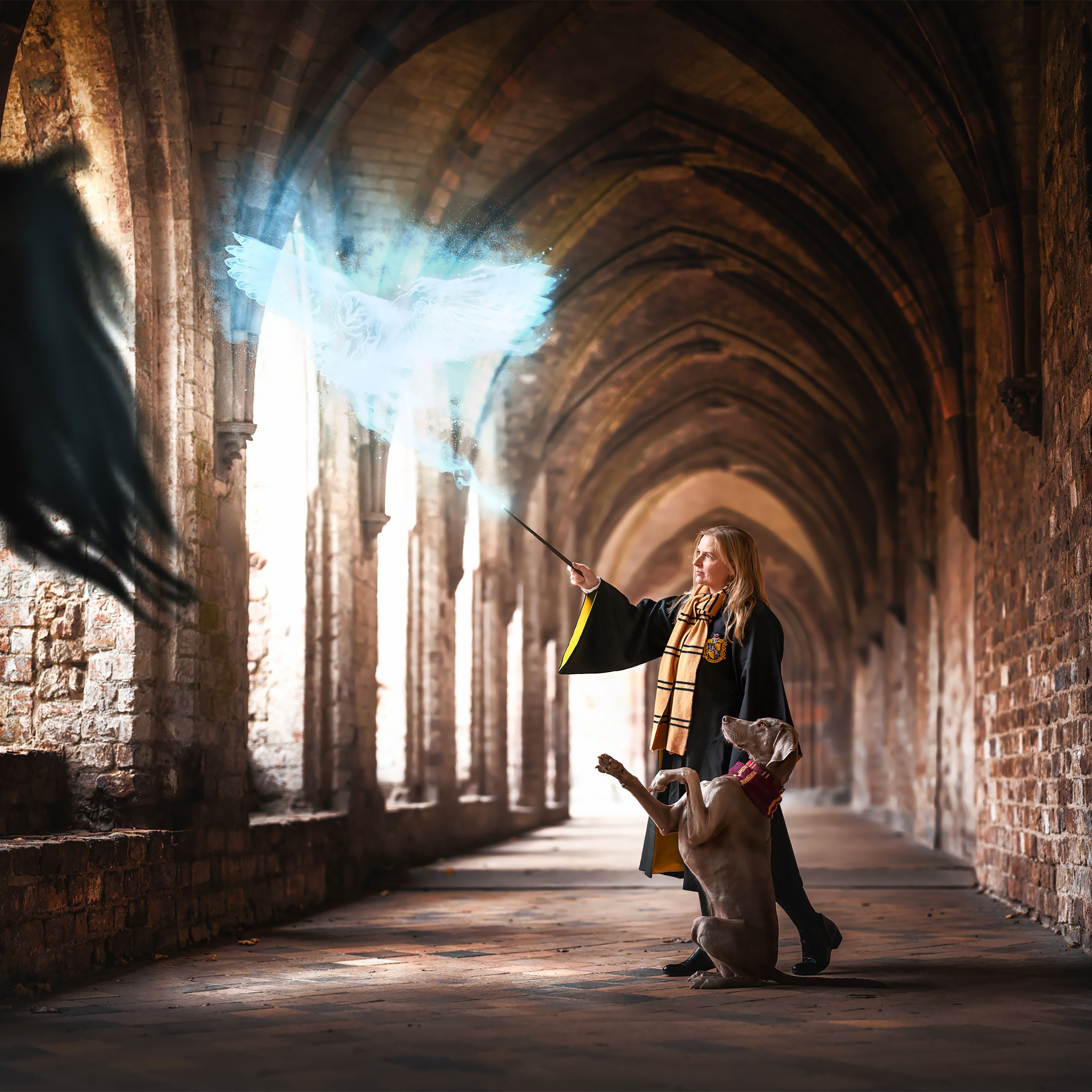 Immagine del prodotto Harry Potter - Sciarpa di lana originale di Hufflepuff