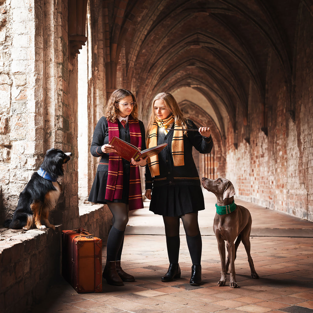 Immagine del prodotto Harry Potter - Sciarpa di lana originale di Hufflepuff