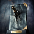 Immagine del prodotto Harry Potter - Statua del diario di Riddle con dente di basilisco
