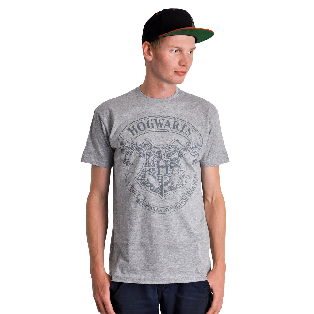 Immagine del prodotto Harry Potter - T-shirt con logo grigia