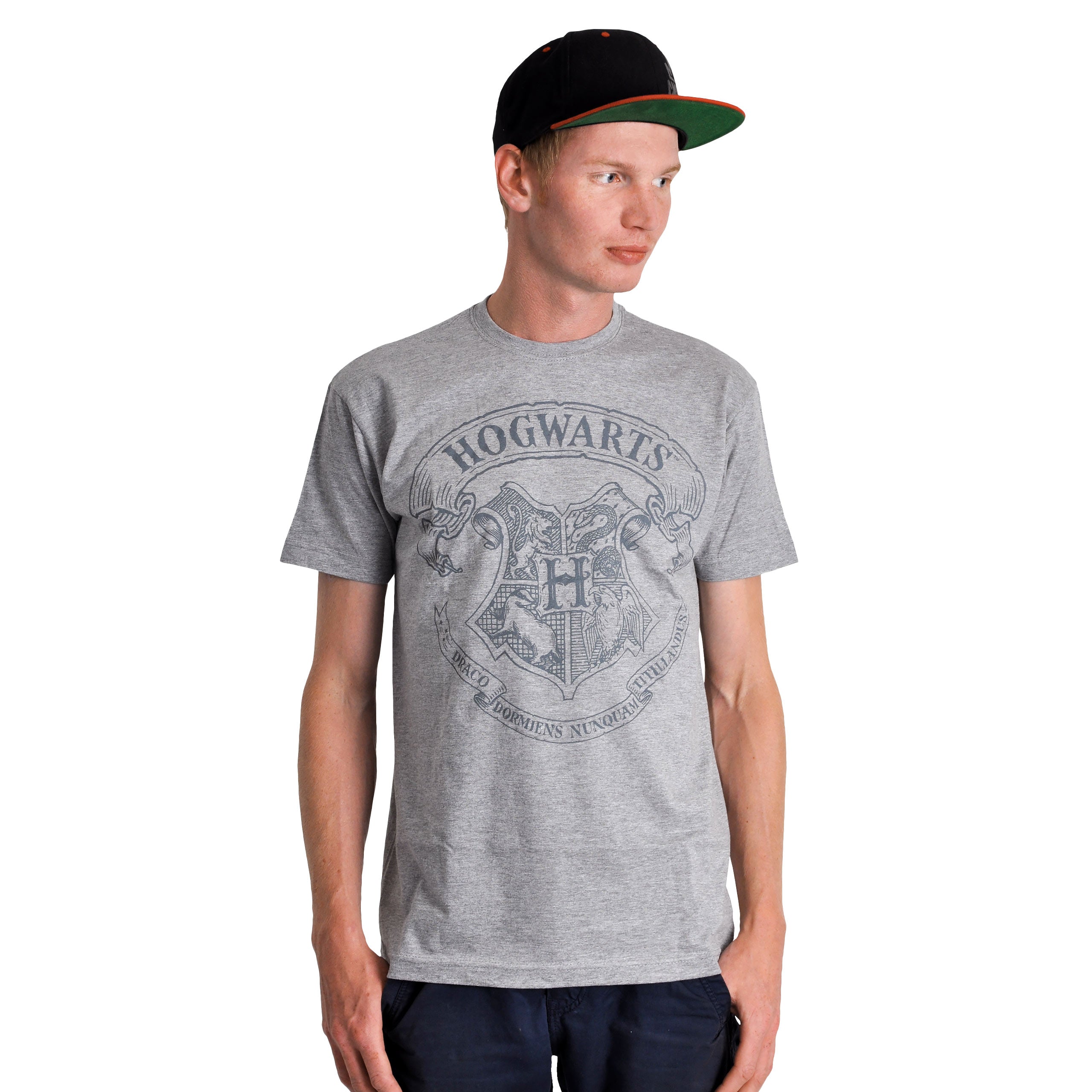 Immagine del prodotto Harry Potter - T-shirt con logo grigia