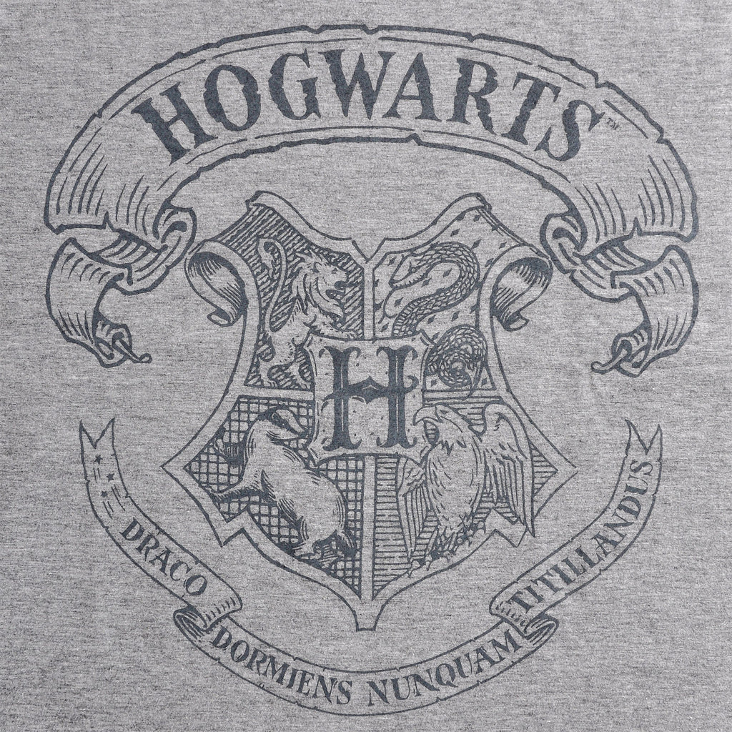 Immagine del prodotto Harry Potter - T-shirt con logo grigia