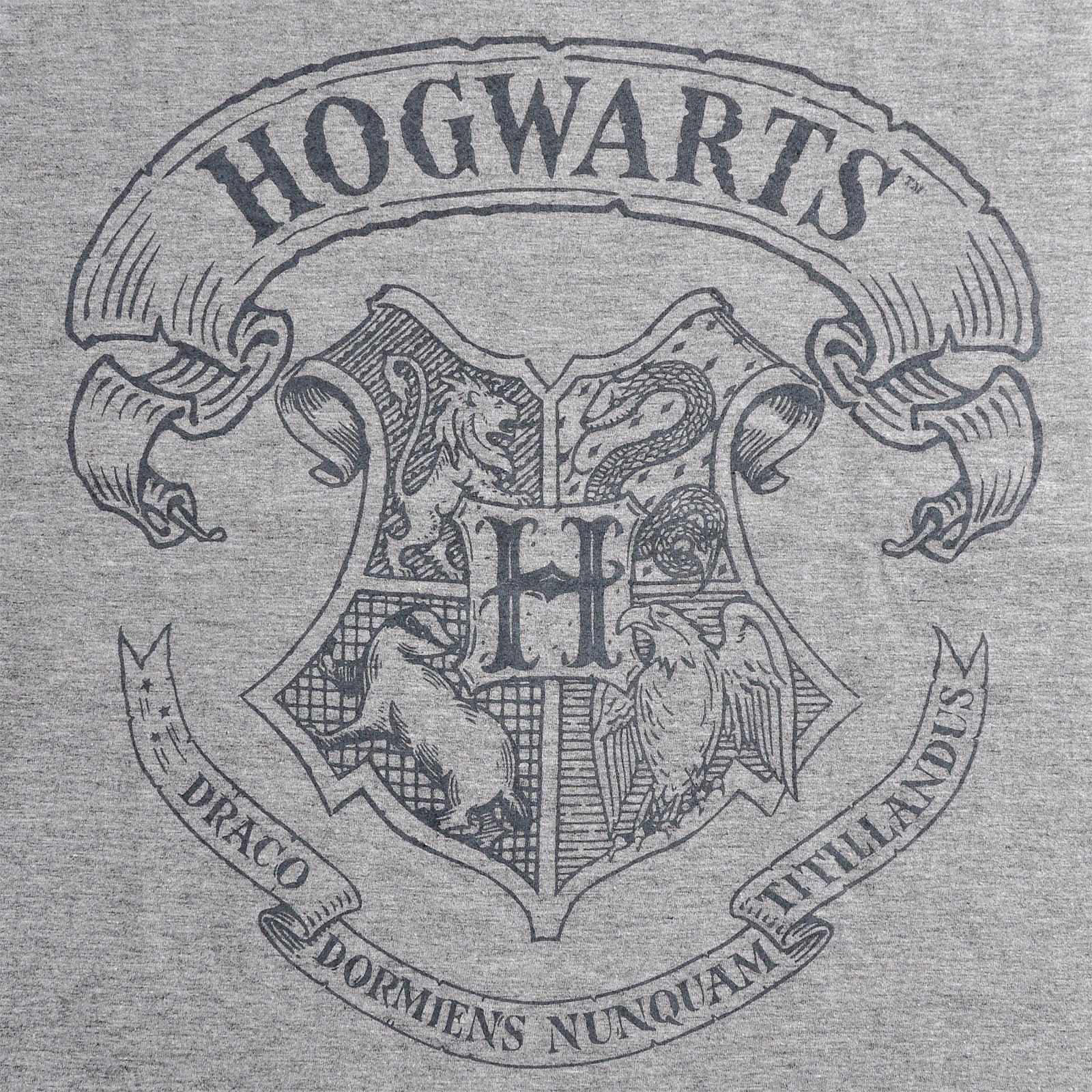 Immagine del prodotto Harry Potter - T-shirt con logo grigia
