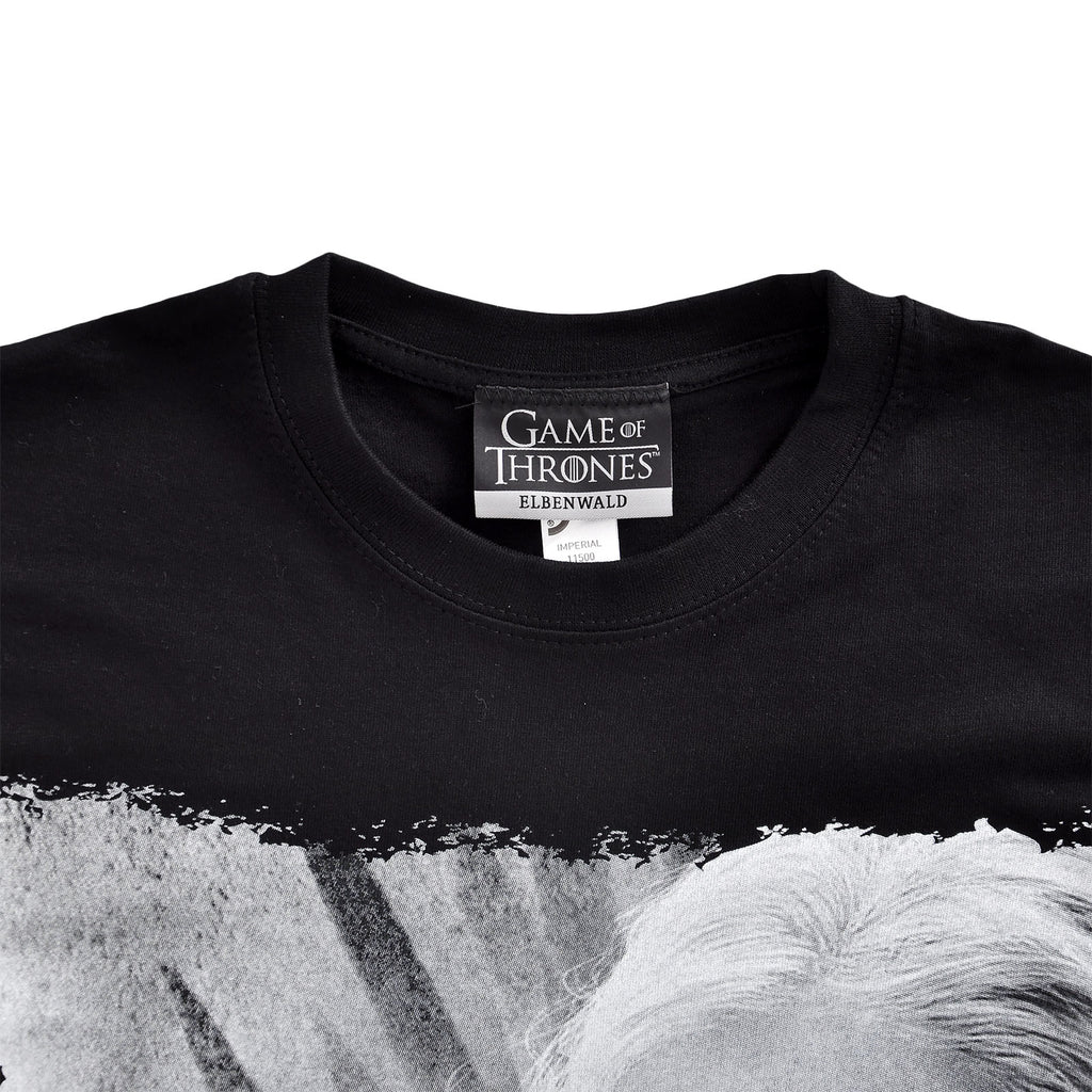 Immagine del prodotto Il Trono di Spade - Daenerys Fire and Blood T-Shirt