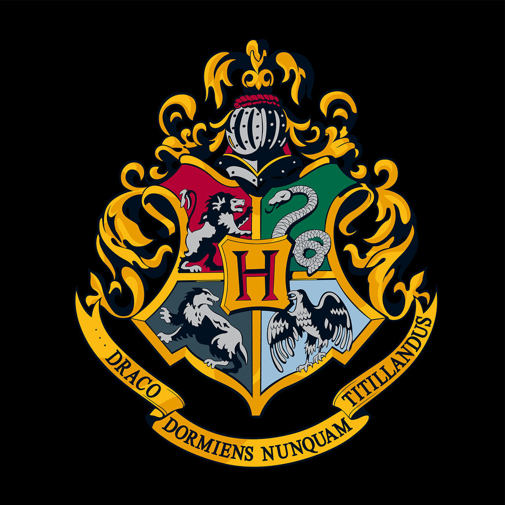 Immagine del prodotto Harry Potter - Felpa con cappuccio Hogwarts nera