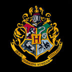 Immagine del prodotto Harry Potter - Felpa con cappuccio Hogwarts nera
