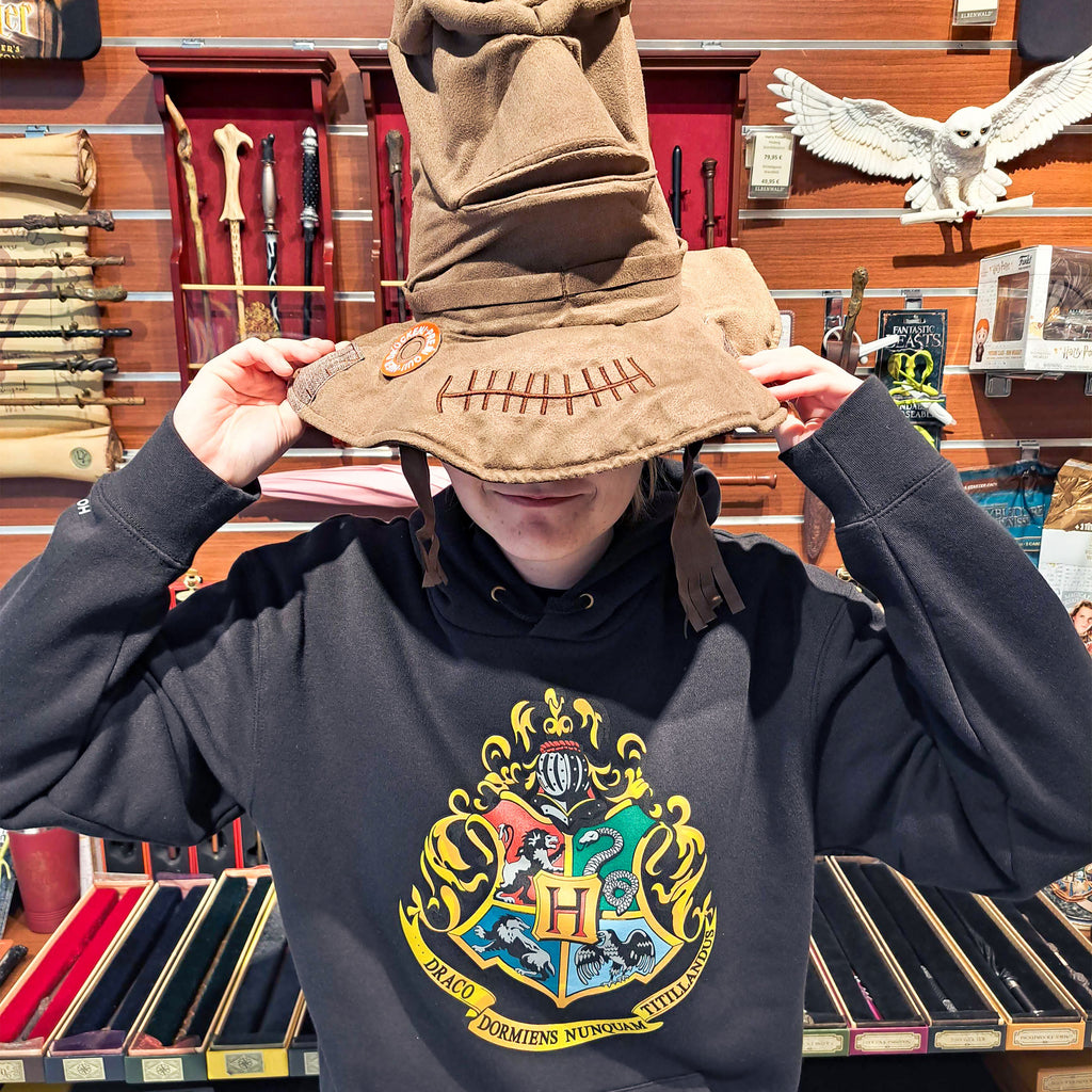 Immagine del prodotto Harry Potter - Felpa con cappuccio Hogwarts nera
