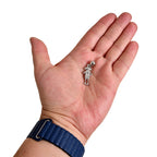 Product image Harry Potter - Dobby Slider Charm Pendant