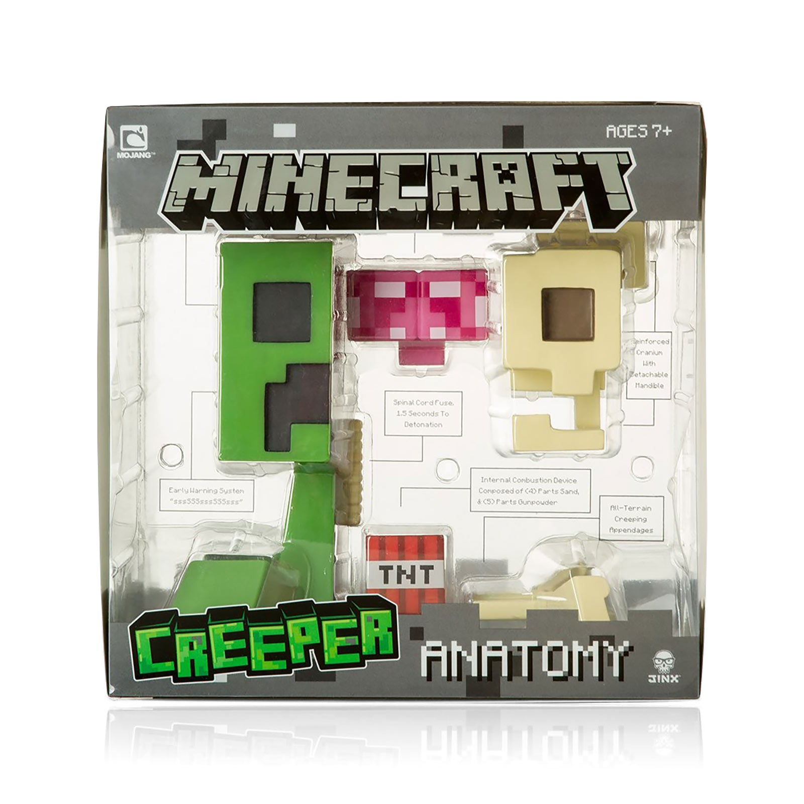 Product image Minecraft - Creeper Anatomy Figure