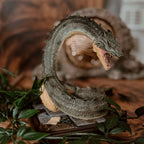 Immagine del prodotto Basilisco - Figura di Harry Potter di Animali Magici
