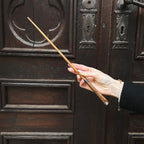 Immagine del prodotto Bacchetta di Newt Scamander in blister - Animali fantastici