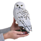 Immagine del prodotto Harry Potter - Statua di Hedwig