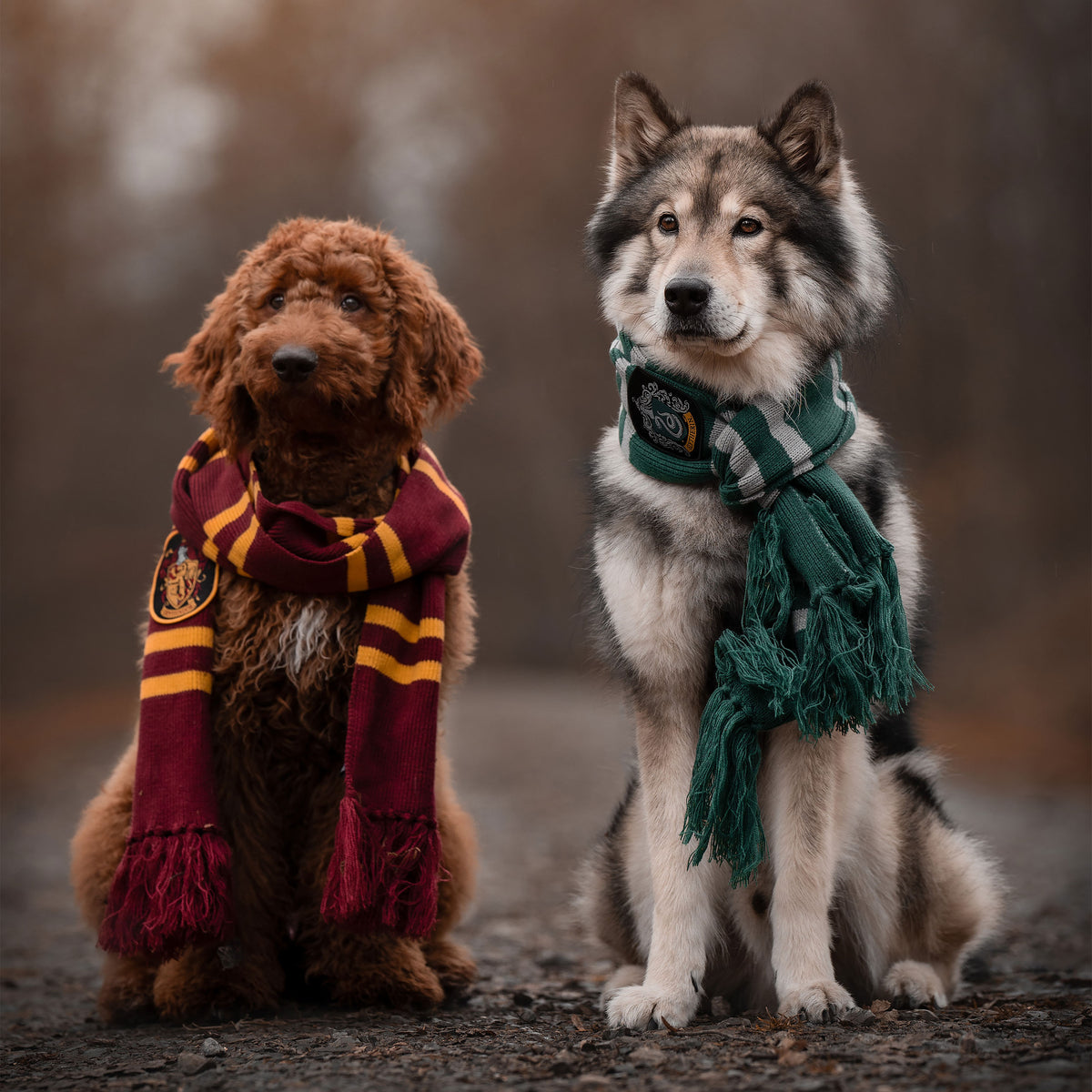 Immagine del prodotto Harry Potter - Sciarpa in maglia Slytherin grigio-verde