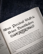 Immagine del prodotto Harry Potter - Il libro non ufficiale di magia