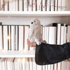 Immagine del prodotto Harry Potter - Peluche di Edvige