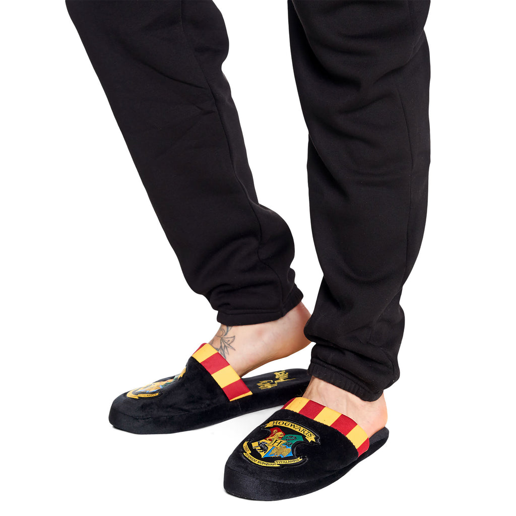 Immagine del prodotto Harry Potter - Pantofole di peluche Hogwarts per uomo