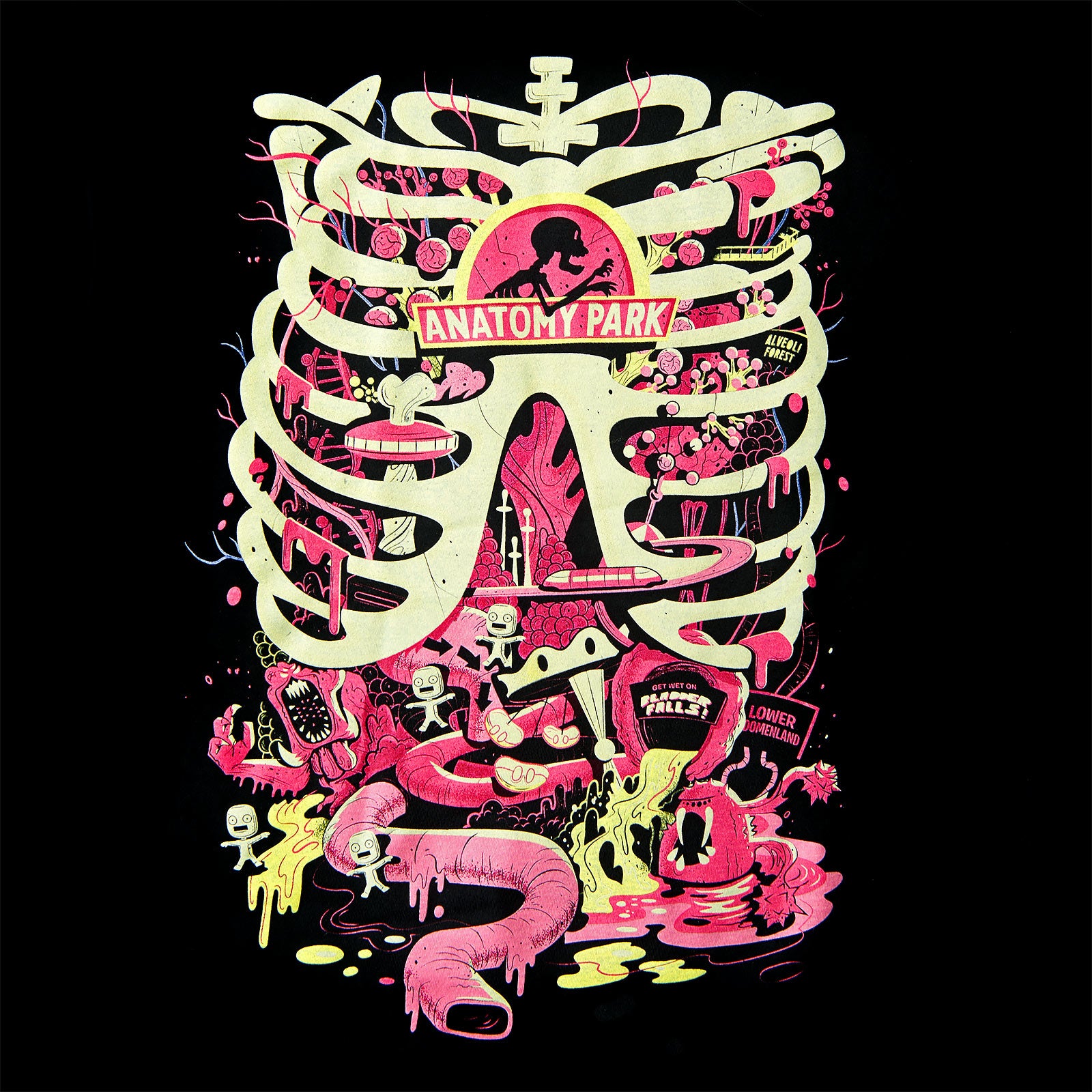 Immagine del prodotto Rick e Morty - T-shirt nera di Anatomy Park