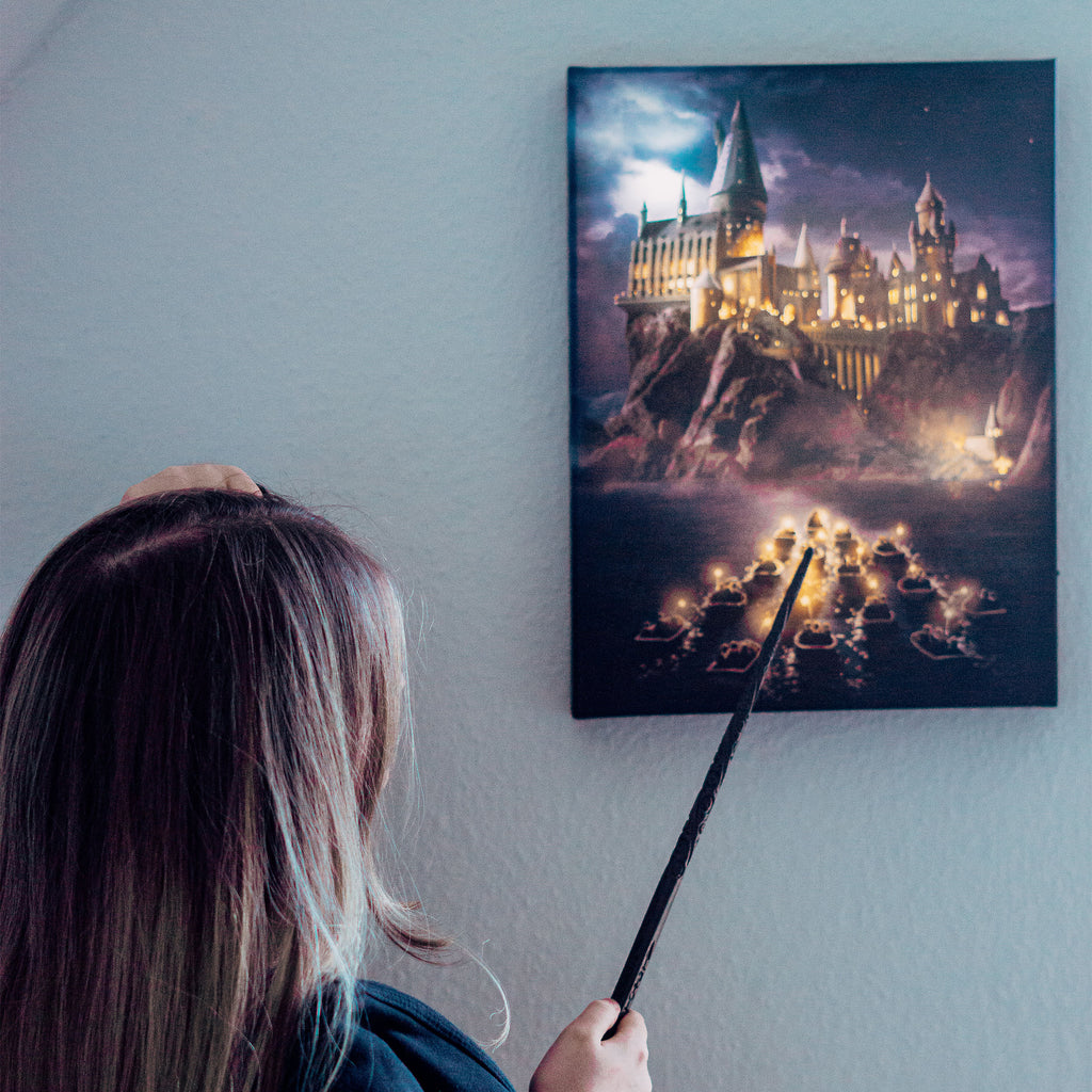 Immagine del prodotto Harry Potter - Murale di Hogwarts con luce