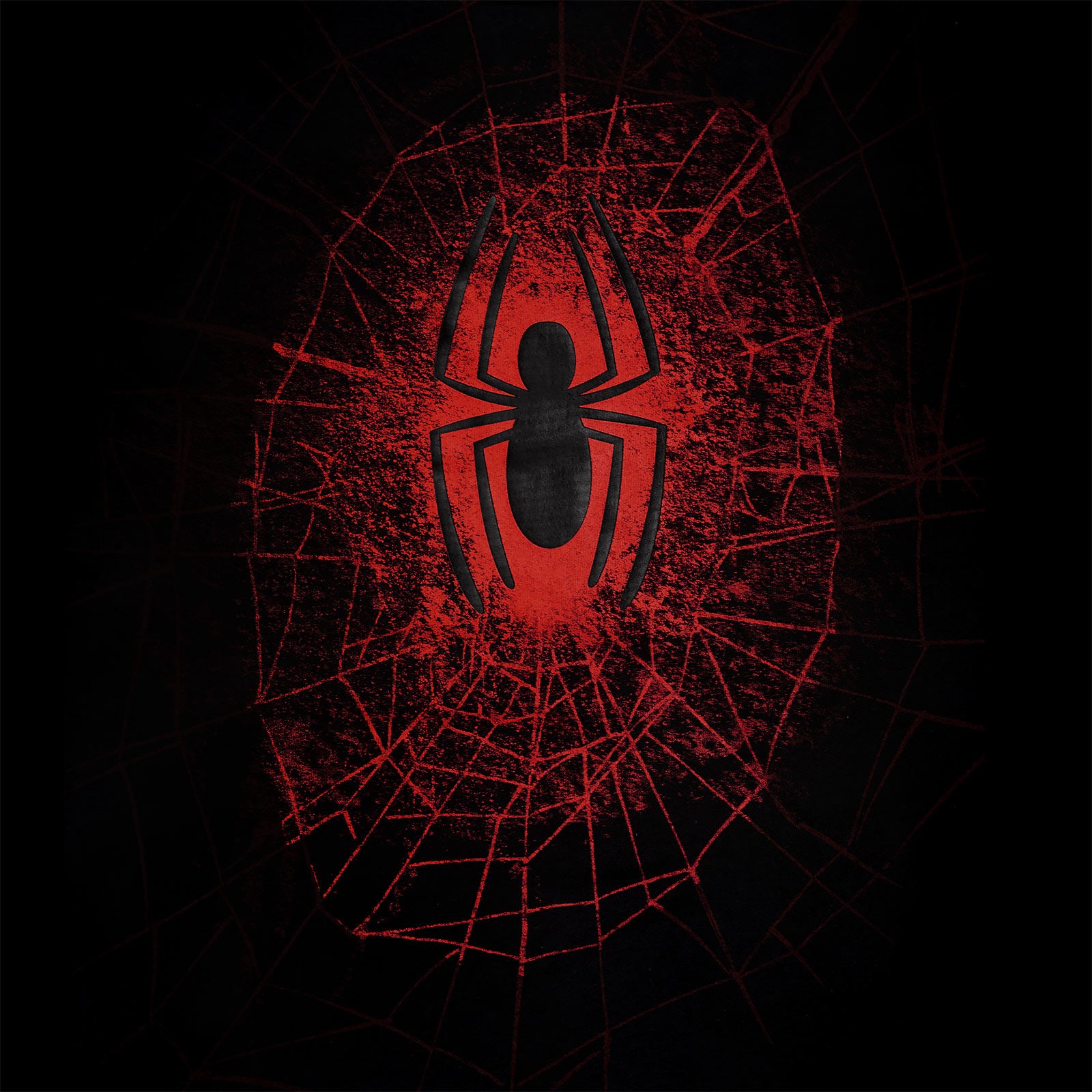 Immagine del prodotto Spider-Man - T-shirt ragnatela nera