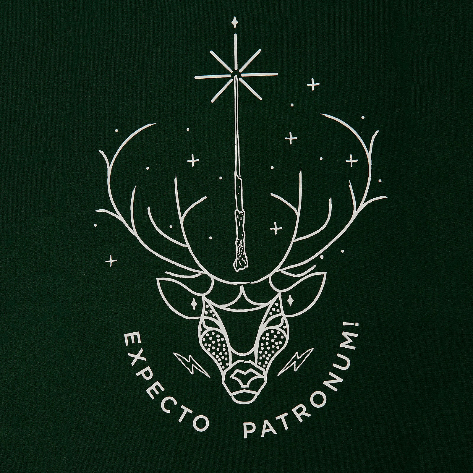 Immagine del prodotto Harry Potter - Expecto Patronum T-shirt verde