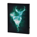 Immagine del prodotto Harry Potter - Quadro Patronus con luce