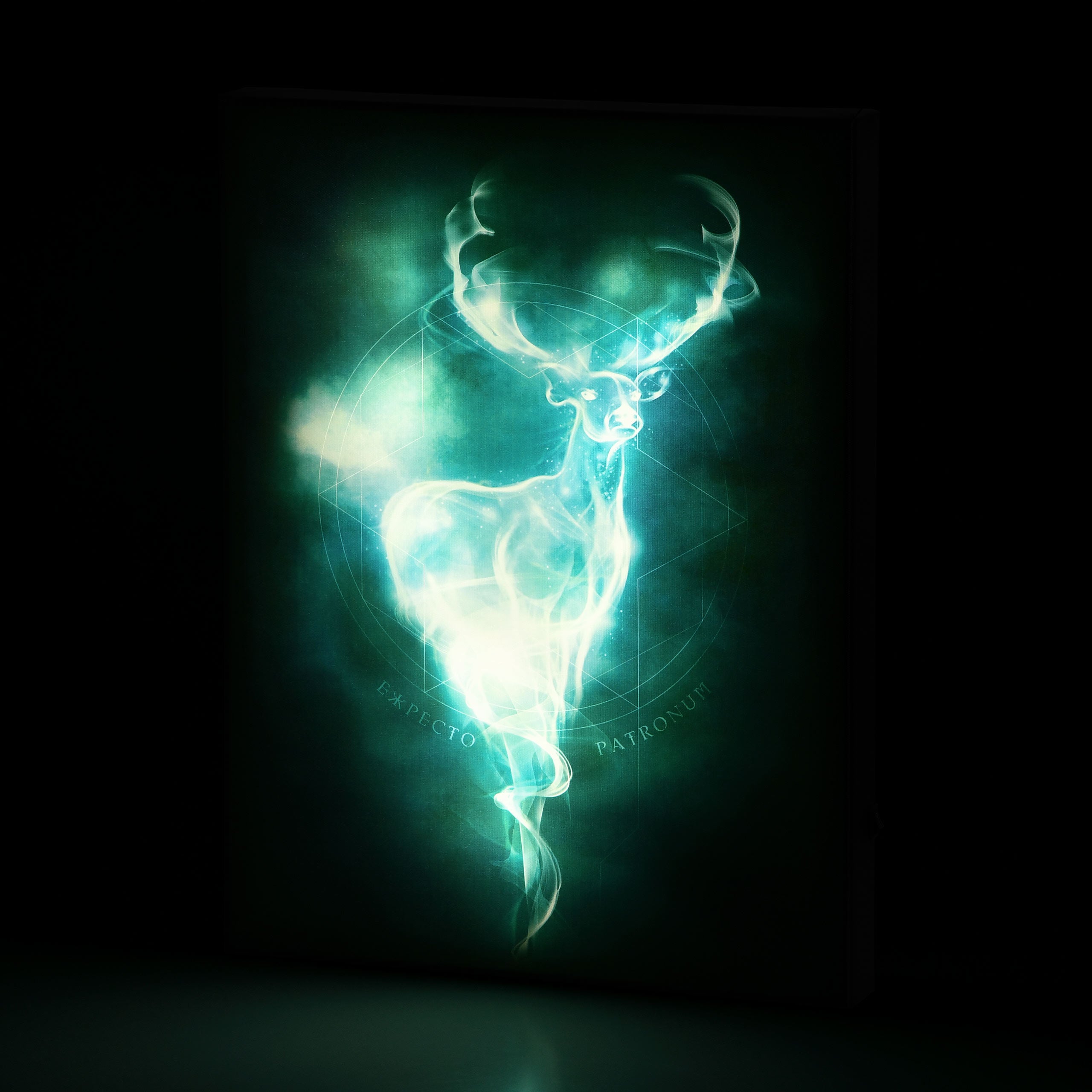 Immagine del prodotto Harry Potter - Quadro Patronus con luce