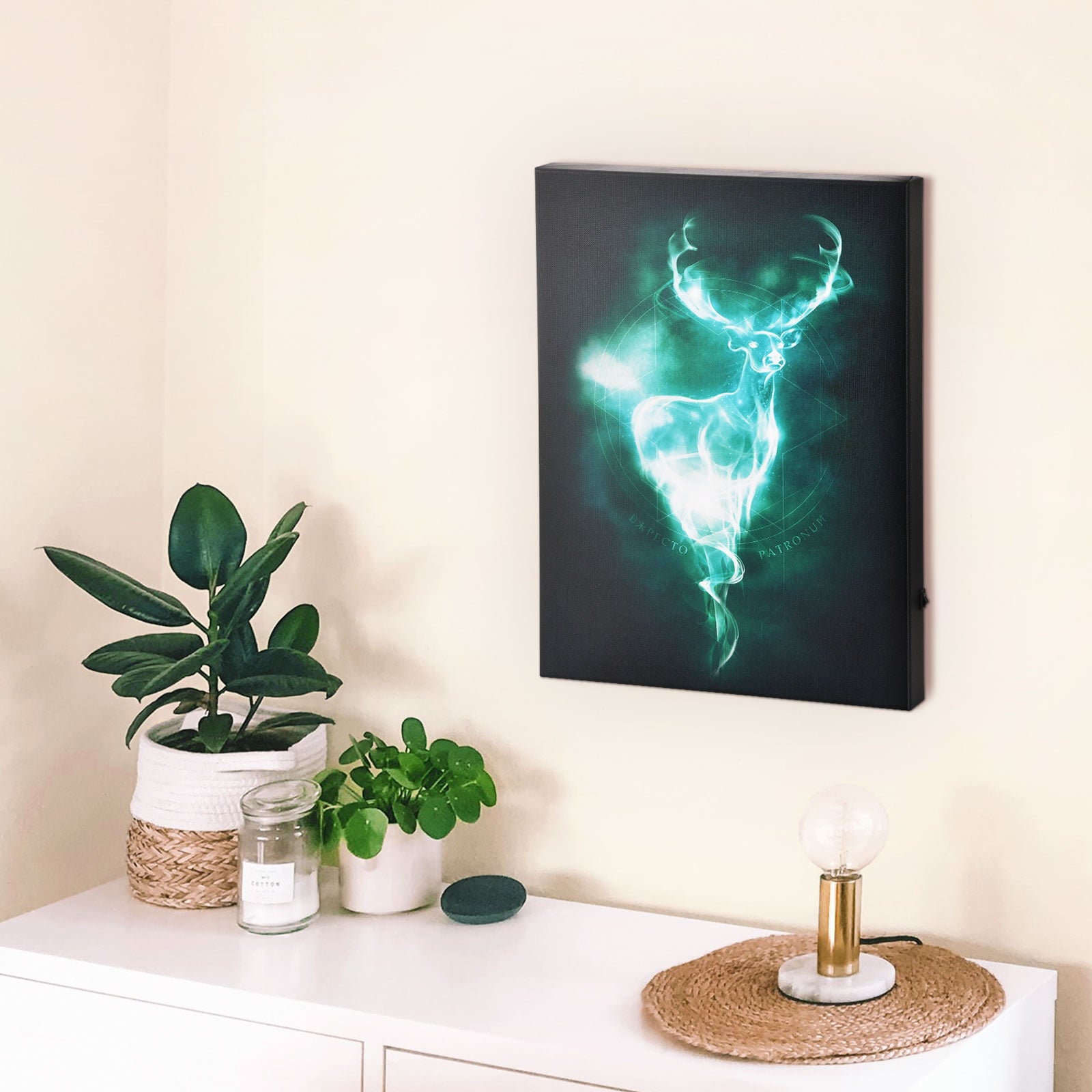 Immagine del prodotto Harry Potter - Quadro Patronus con luce
