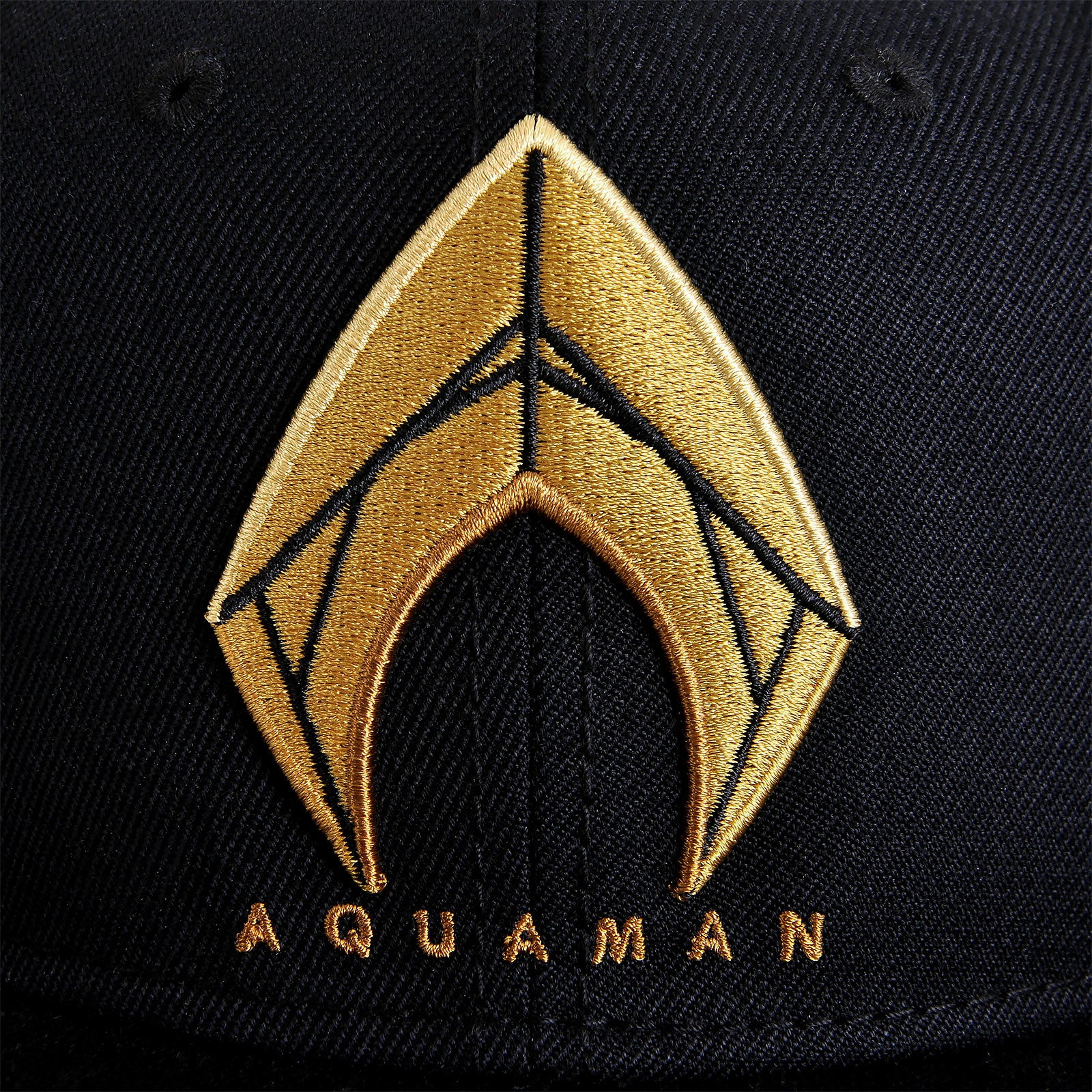 Immagine del prodotto Cappello Snapback Logo Aquaman - Justice League
