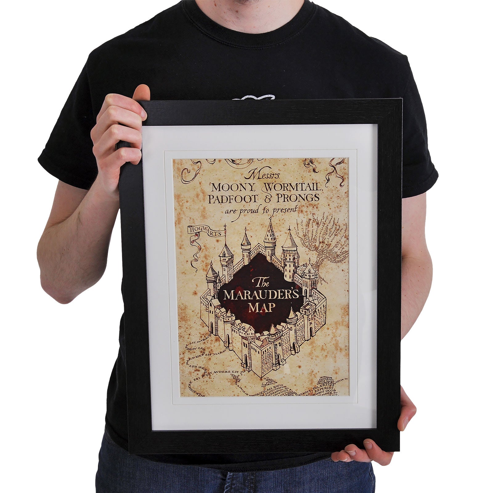 Immagine del prodotto Harry Potter - Mappa del Malandrino Quadro da parete