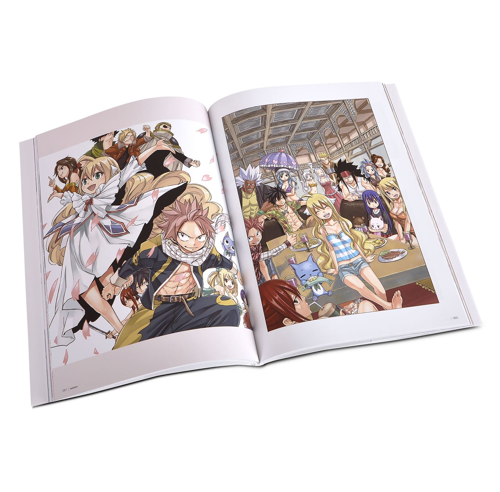 Immagine del prodotto Fairy Tail - Harvest Artwork