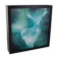 Immagine del prodotto Harry Potter - Quadro 3D di Patronus con luce