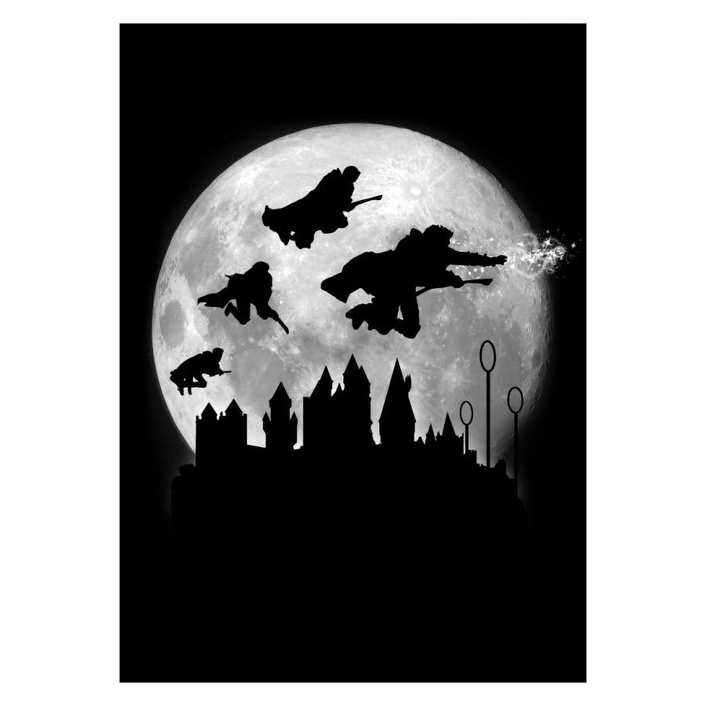 Immagine del prodotto Poster in metallo Magic Flight at Night per fan di Harry Potter