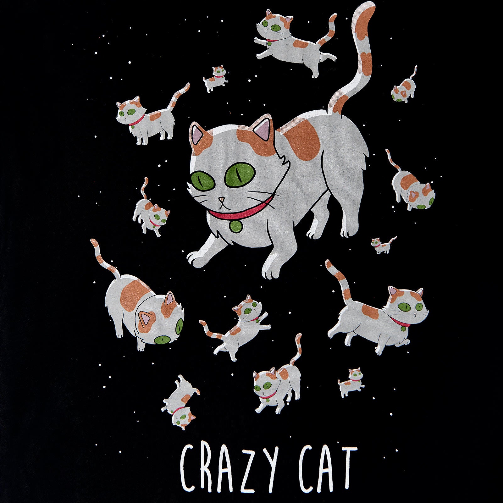 Immagine del prodotto Rick e Morty - T-shirt Crazy Cat da donna nera
