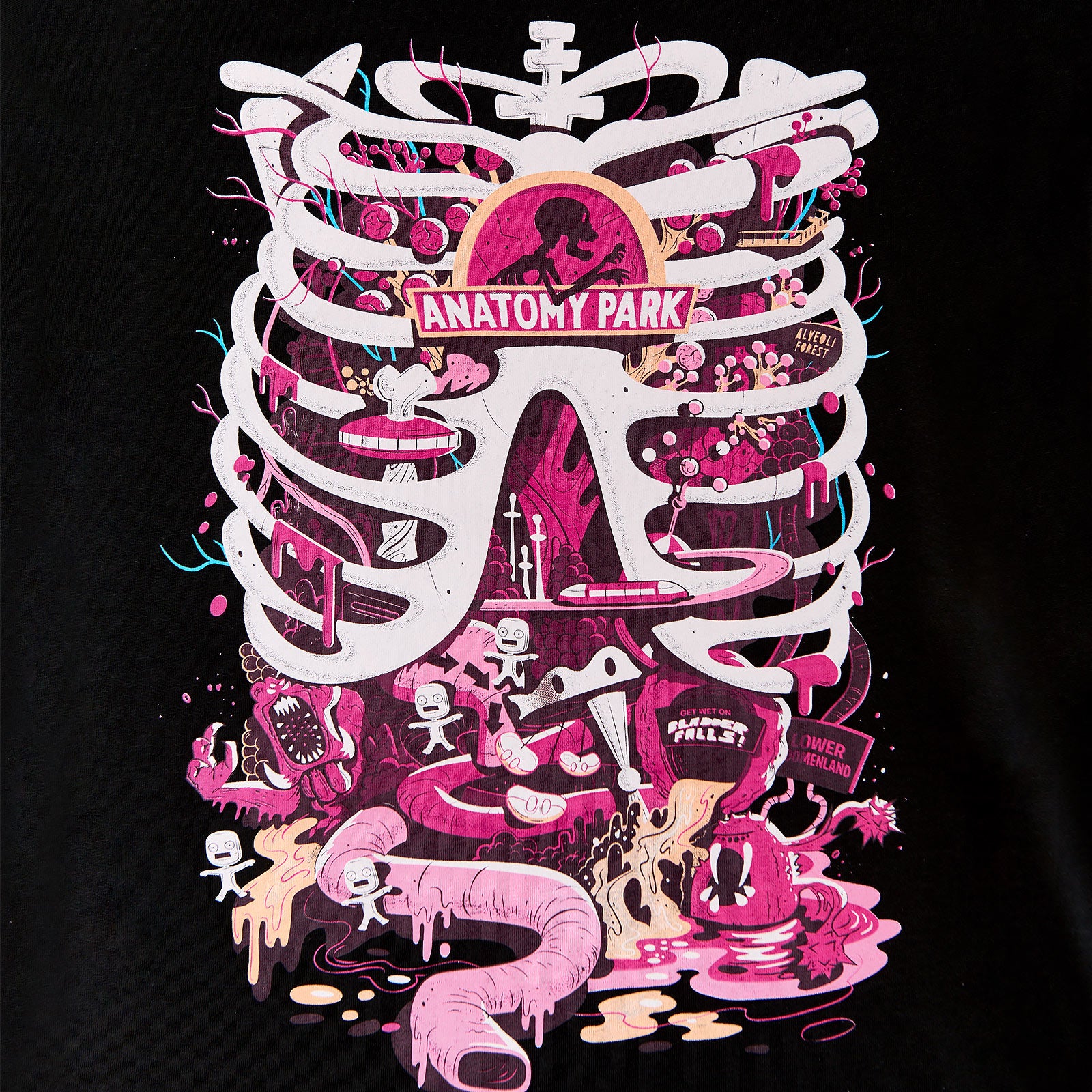 Immagine del prodotto Rick and Morty - T-Shirt Anatomy Park da donna nera