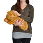 Product image Harry Potter - Crookshanks Plush Figure 43 cm