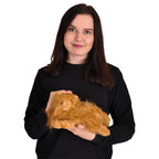 Immagine del prodotto Harry Potter - Figura di peluche Crookshanks 25 cm