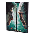 Immagine del prodotto Harry Potter - Harry vs. Voldemort Quadro con luce